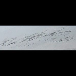 Meet your Posher, Ellis